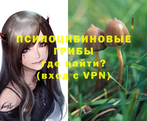 МДМА Коряжма