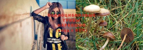 твердый Корсаков