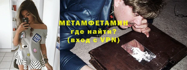 индика Козельск